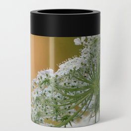 Queen Anne's Lace flower in golden light Can Cooler