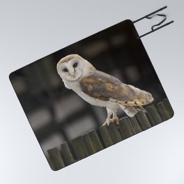 Barn Owl Picnic Blanket