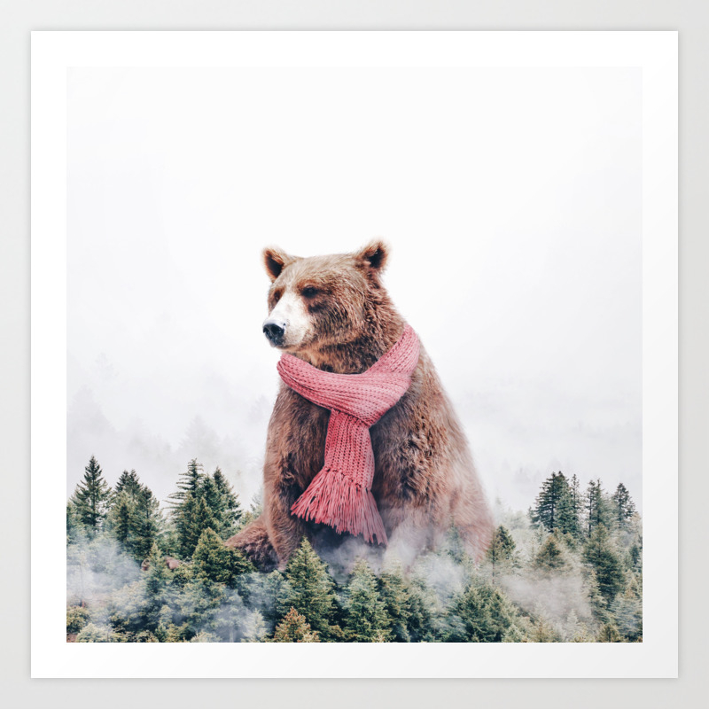 bear cold