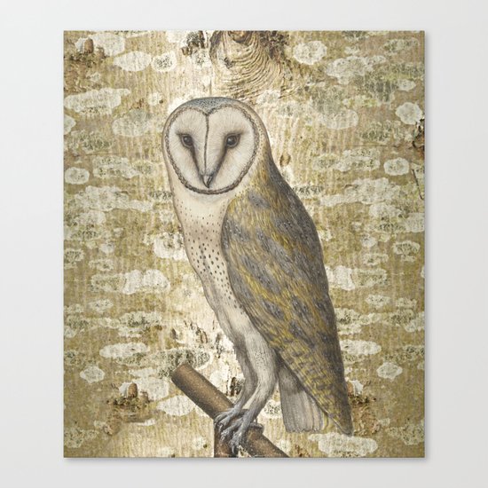 On the speculation of Keats , and the gaze of the owl. We are all in camouflage. Canvas Print