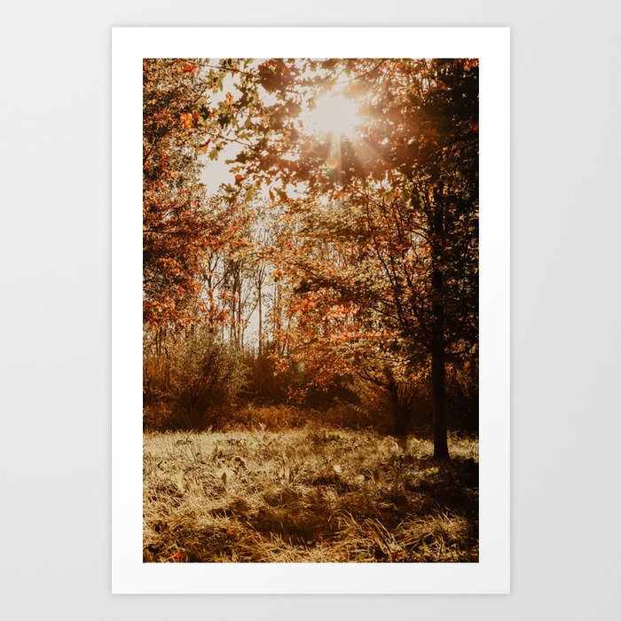 Autumn vibes | Fine Art Travel Photography Art Print