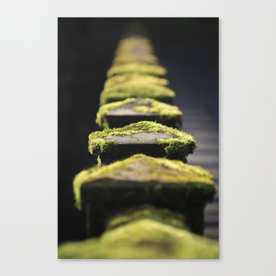 Mossy Canvas Print