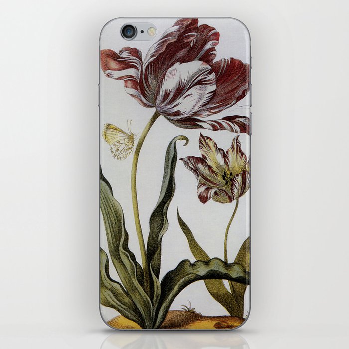  The big tulip Diana and the little widow iPhone Skin