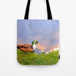 Duck Going for a Swim Tote Bag