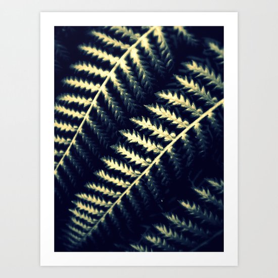 Fern Art Print