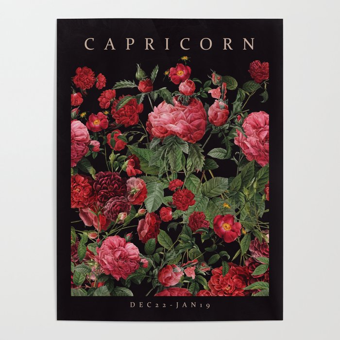 CAPRICORN II Poster