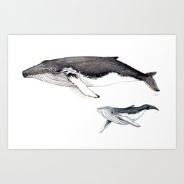 Whale Design Art Prints For Any Decor Style Society6