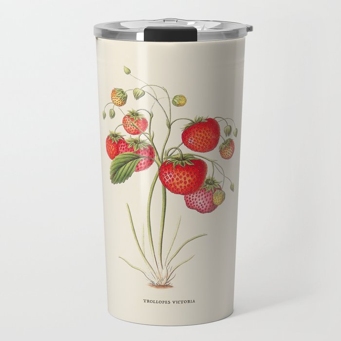 Strawberry Antique Botanical Illustration Travel Mug