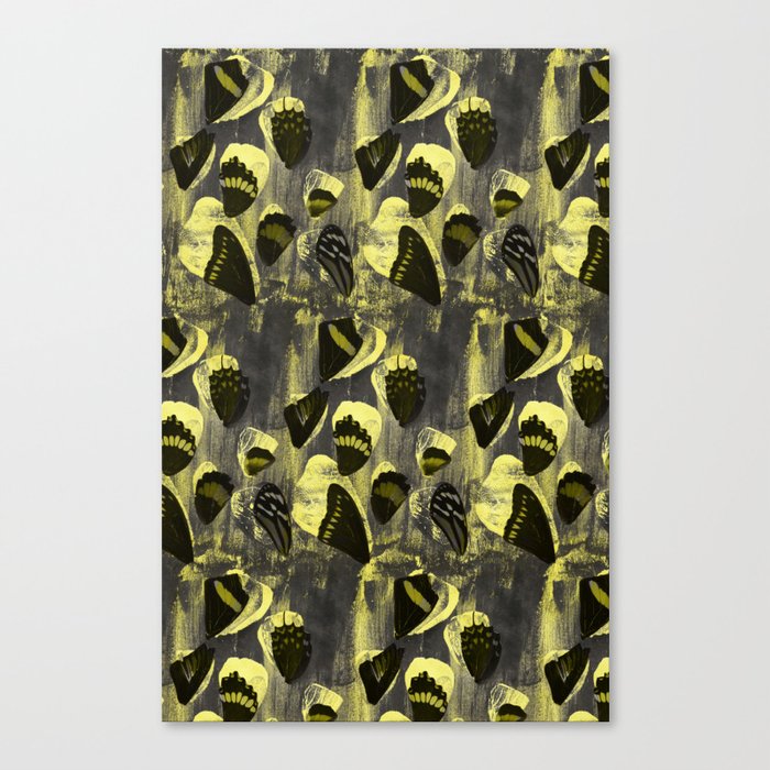 Yellow Butterfly  Canvas Print