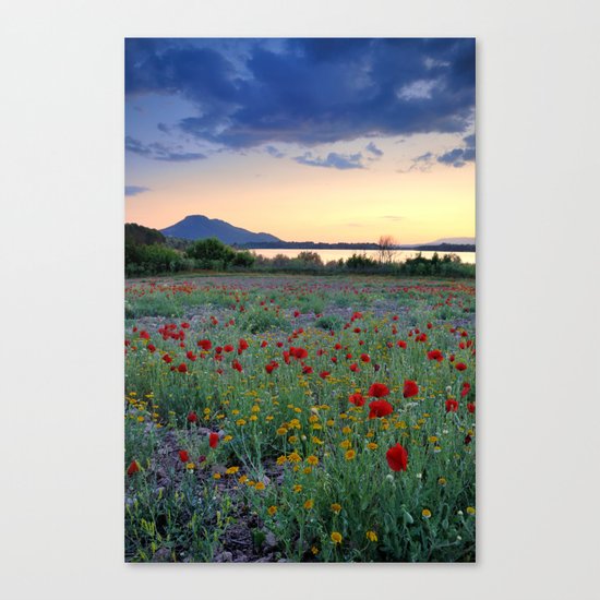 Red Poppies. Sunset at the lake Canvas Print