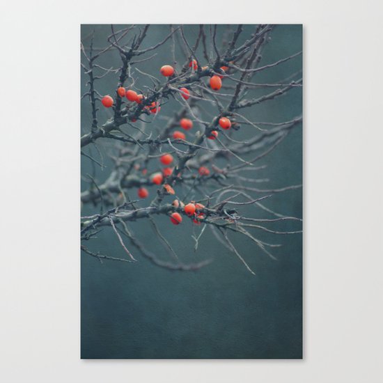 thorn Canvas Print