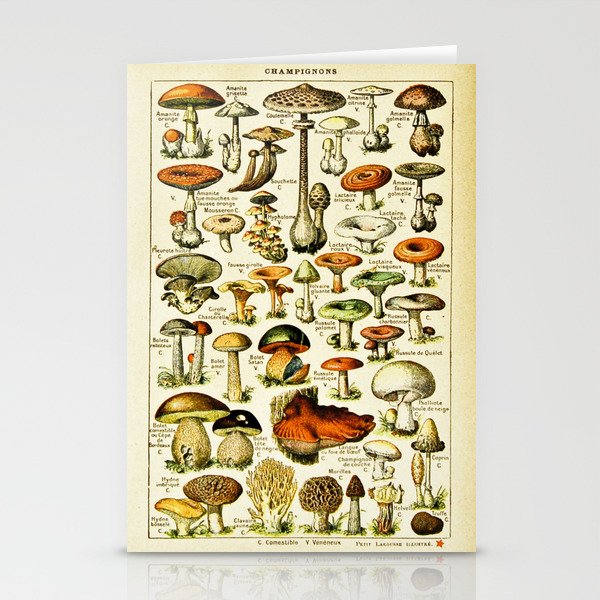 Vintage French Mushrooms Stationery Cards