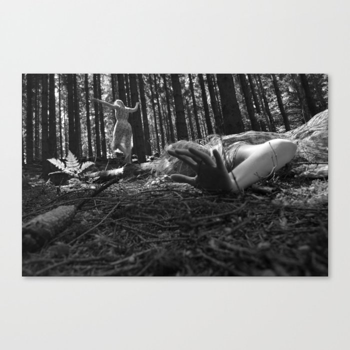 In the woods Canvas Print