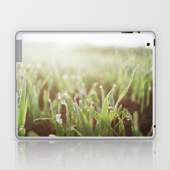 Morning Grass Laptop & iPad Skin