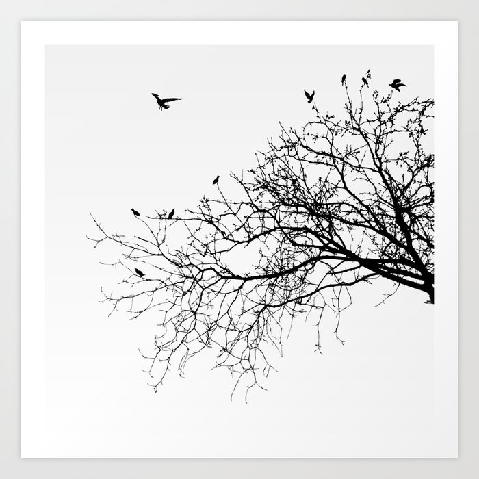 Branches Art Print