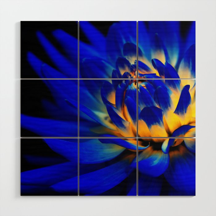 Midnight Blue Dahlia Wood Wall Art