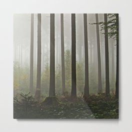 MYSTERY FOREST Metal Print | Digital, Mistyday, Other, Intothewild, Misttrail, Color, Digitalmanipulation, Naturetrees, Foggyforest, Mysteryforest 
