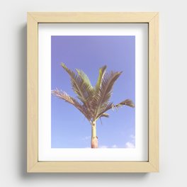 palm tree Recessed Framed Print