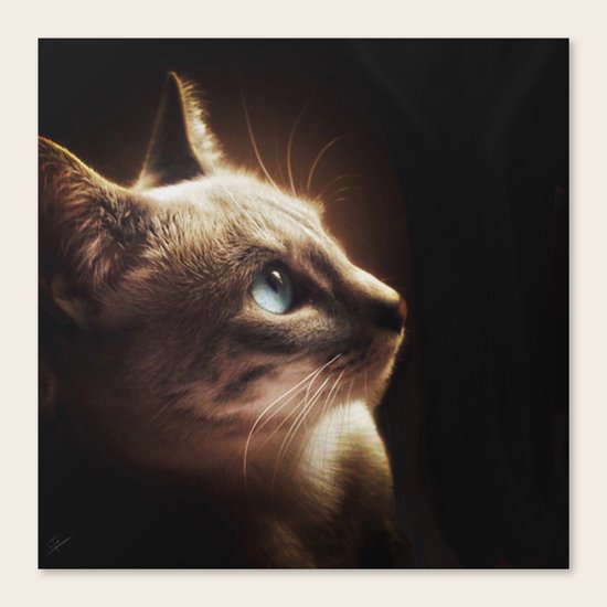 Gali I Canvas Print