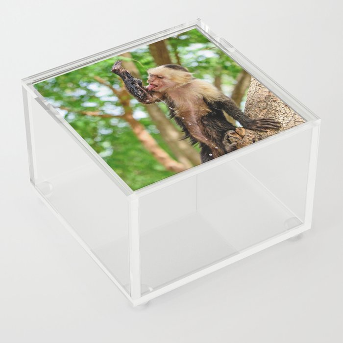 Be Ambitious, Not Thirsty Acrylic Box