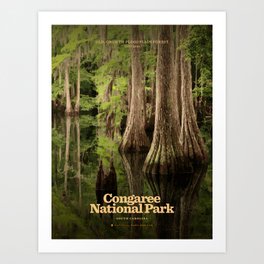 Congaree National Park Art Print