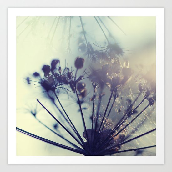 Involution Art Print