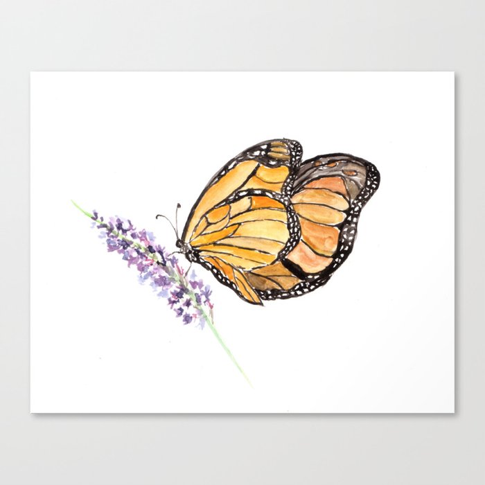 Monarch Butterfly Watercolor Art Orange Butterfly Painting