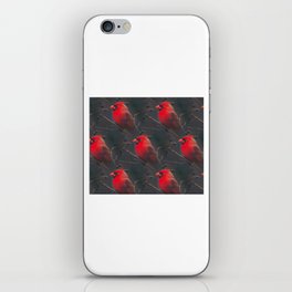 Beautiful birdy Comforter iPhone Skin