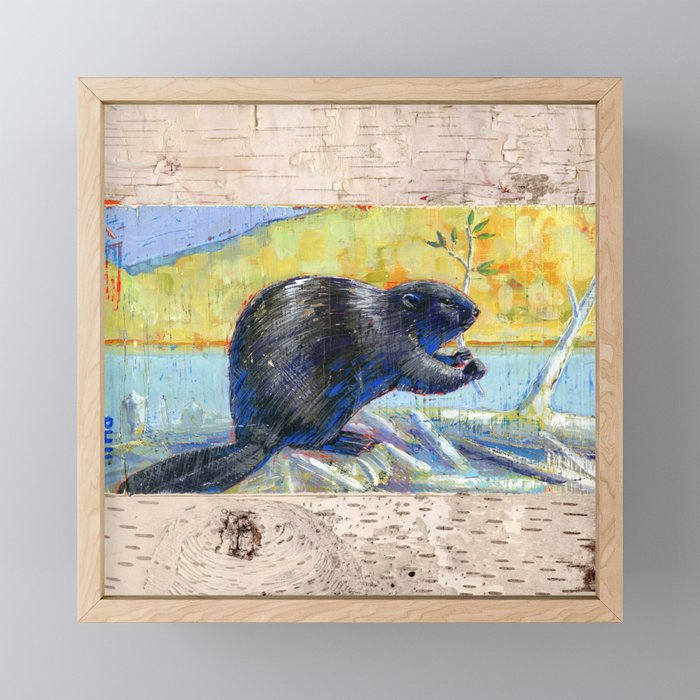 beaver and birch bark Framed Mini Art Print