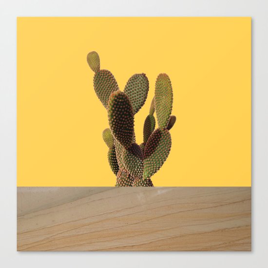 CACTI Canvas Print