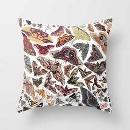 Moths of North America Throw Pillow