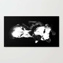 Sweet Dreams - Black And White Dog Art Canvas Print