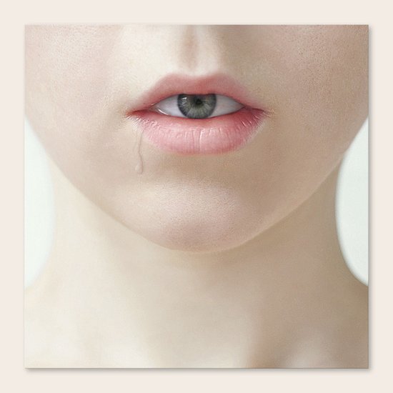 Fake II Canvas Print