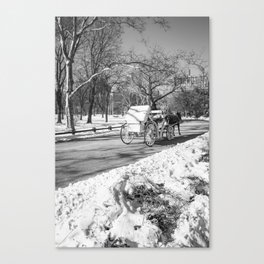 Central Park Black and White Photography Canvas Print