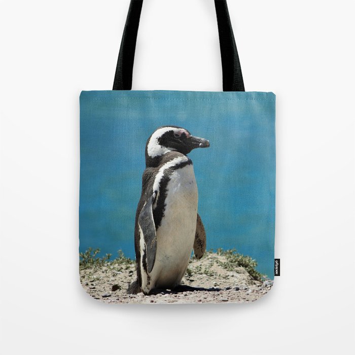 Argentina Photography - Beautiful Magellanic Penguin At The Ocean Shore Tote Bag
