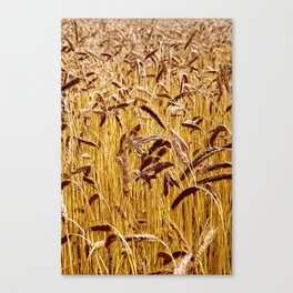 High grain image Canvas Print