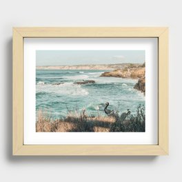 Pelicans at La Jolla Cove, Southern California Recessed Framed Print