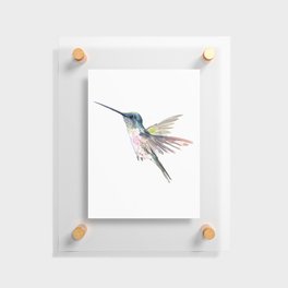 Flying Little Hummingbird Floating Acrylic Print