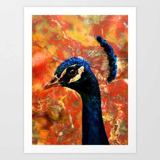 Rock and a Peacock Art Print