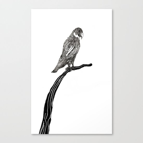 Perch Canvas Print