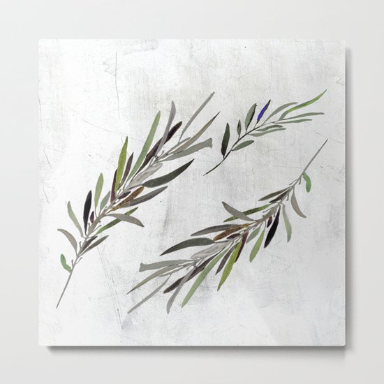 Eucalyptus Leaves White Metal Print