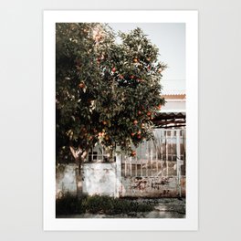  Tangerine Tree | Greece | Colorful Print Art Print