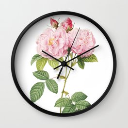 Vintage Italian Damask Rose Botanical Illustration on Pure White Wall Clock