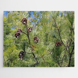 Pine Cones in a Pine Tree Jigsaw Puzzle