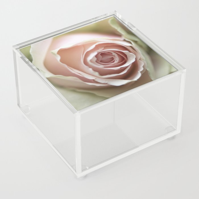 Floral blush pink rose - boho flower - nature and travel photography Acrylic Box