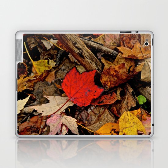The Fallen Laptop & iPad Skin
