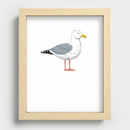 Angry Seagull 2 Recessed Framed Print