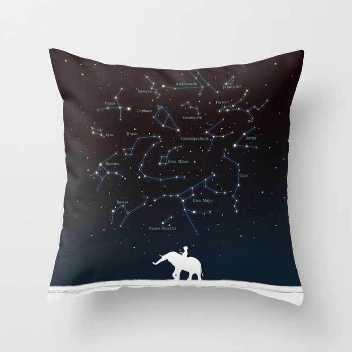 Throw Pillow
