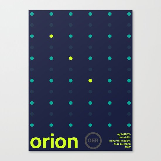 orion single hop Canvas Print
