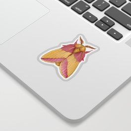 Rosy Maple Moth Sticker